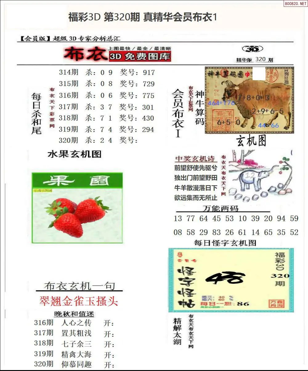 真精华会员布衣1