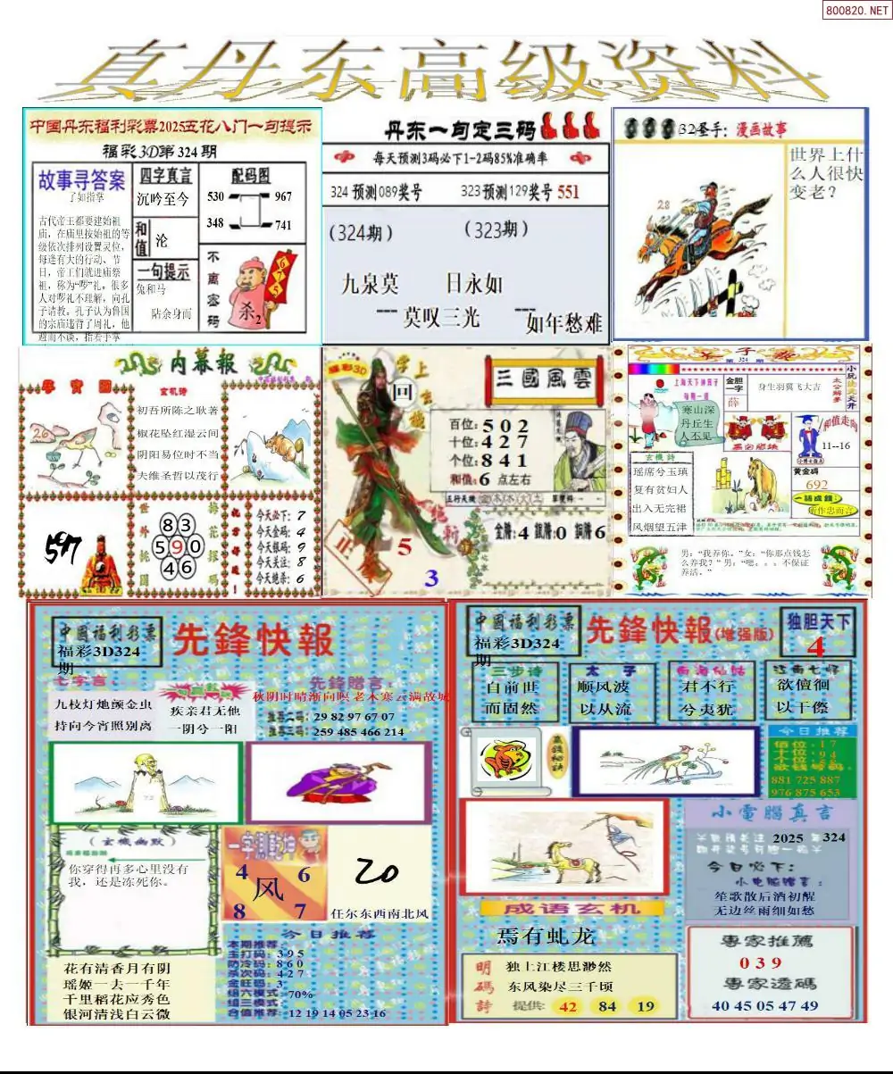 真丹东高级资料