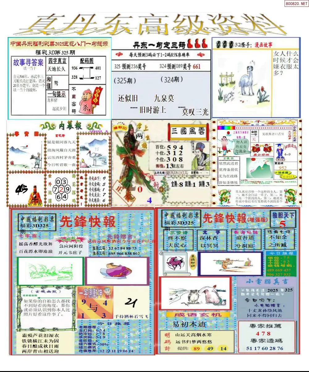 真丹东高级资料