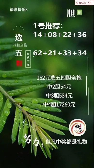 经典胆拖投注