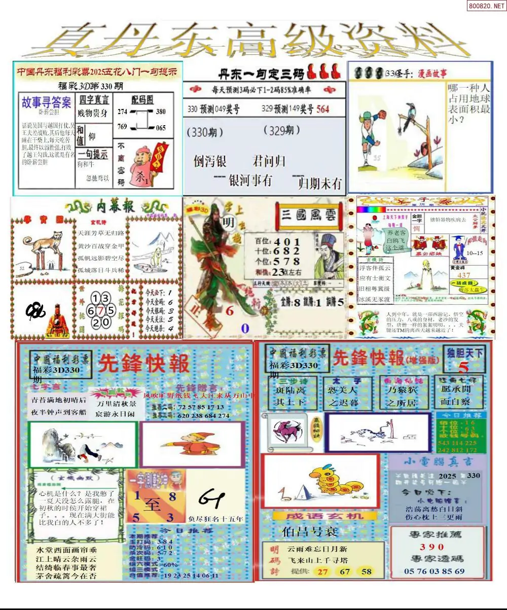 真丹东高级资料