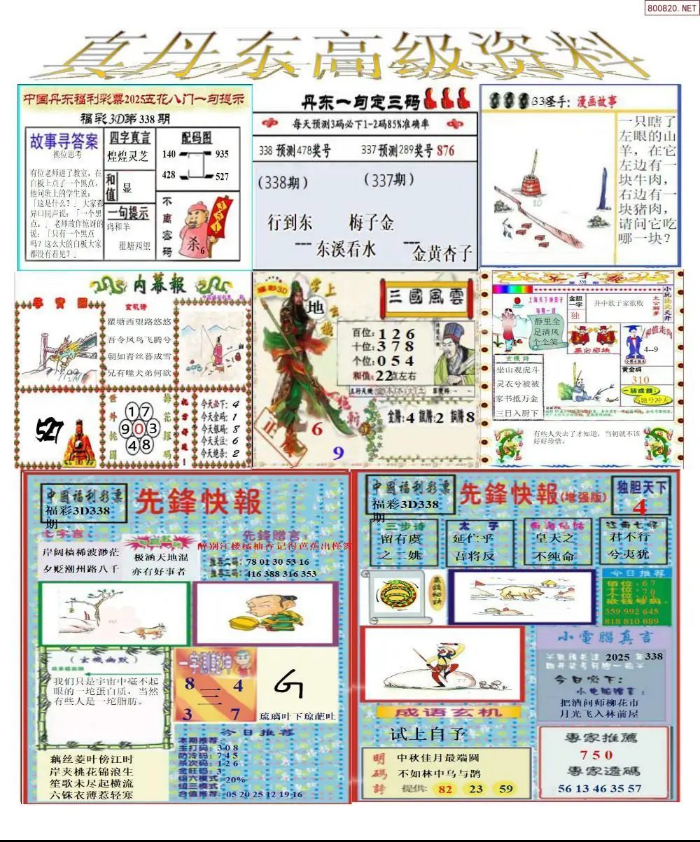 真丹东高级资料