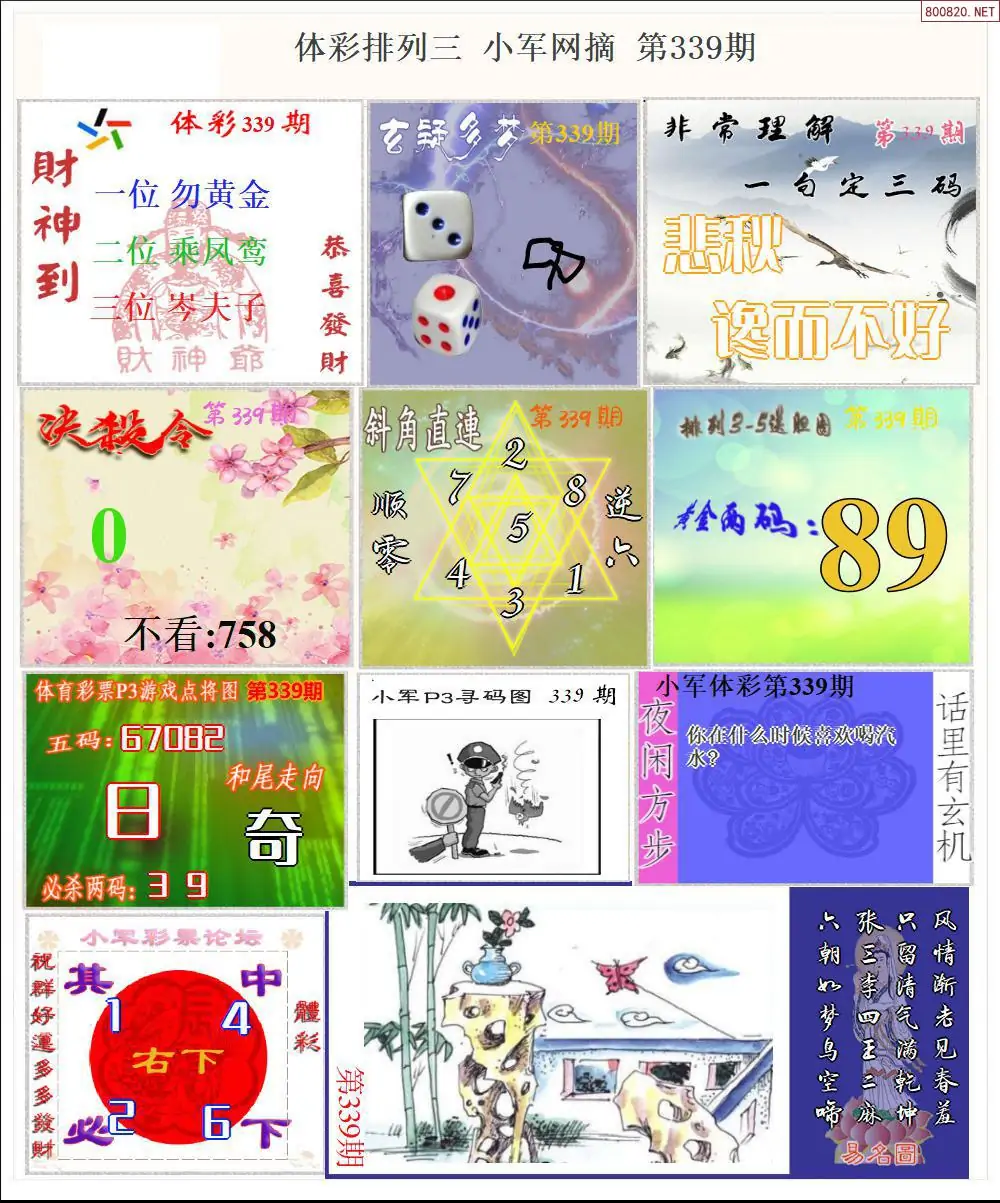 体彩P3小军网摘版