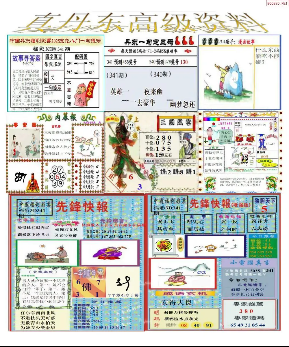 真丹东高级资料