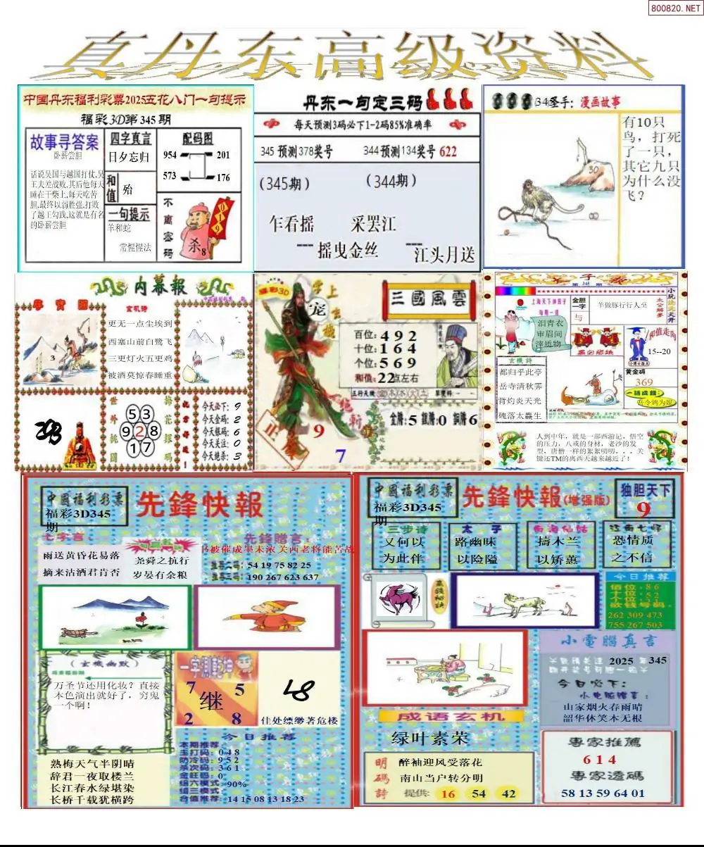 真丹东高级资料