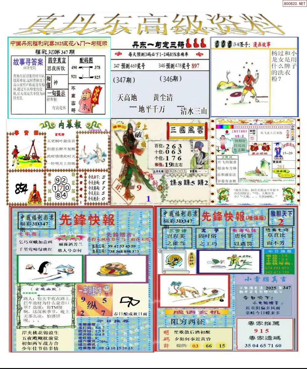 真丹东高级资料