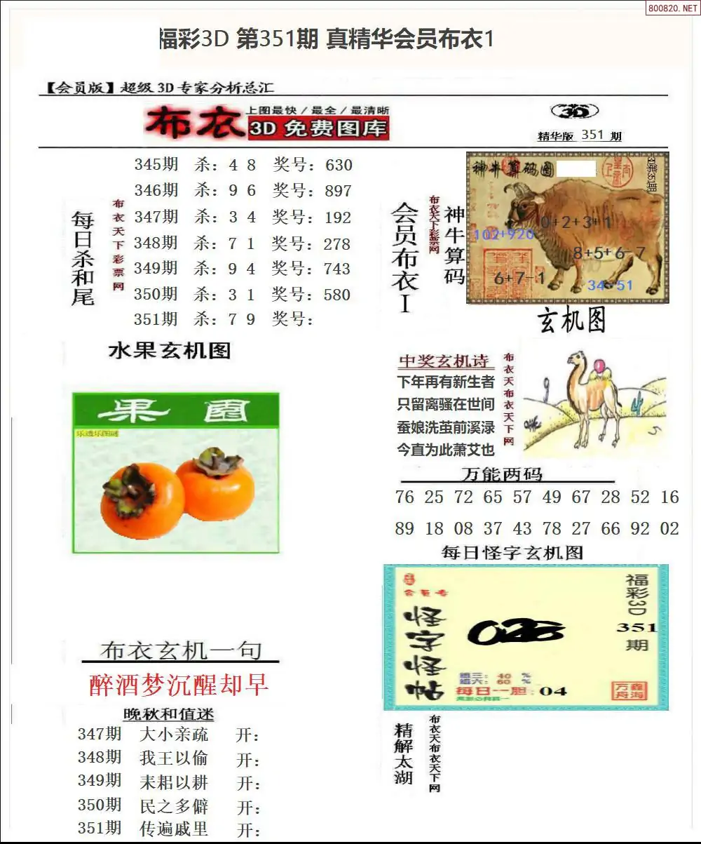 真精华会员布衣1