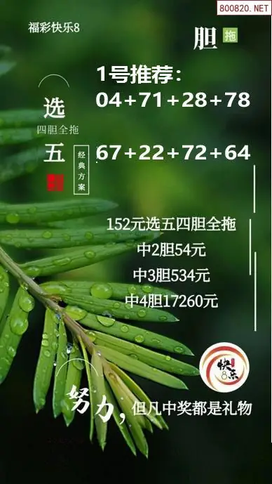 经典胆拖投注