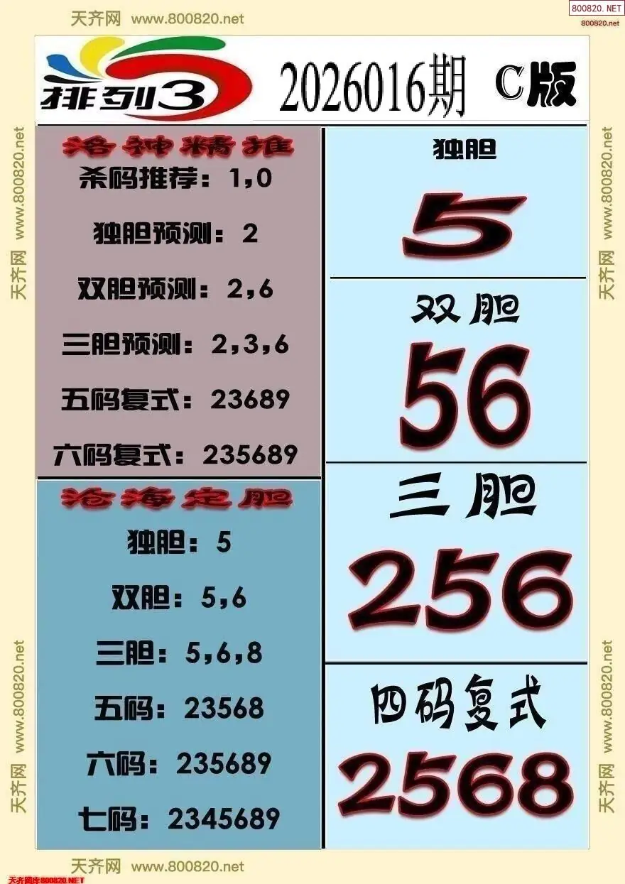 排三专家推荐C