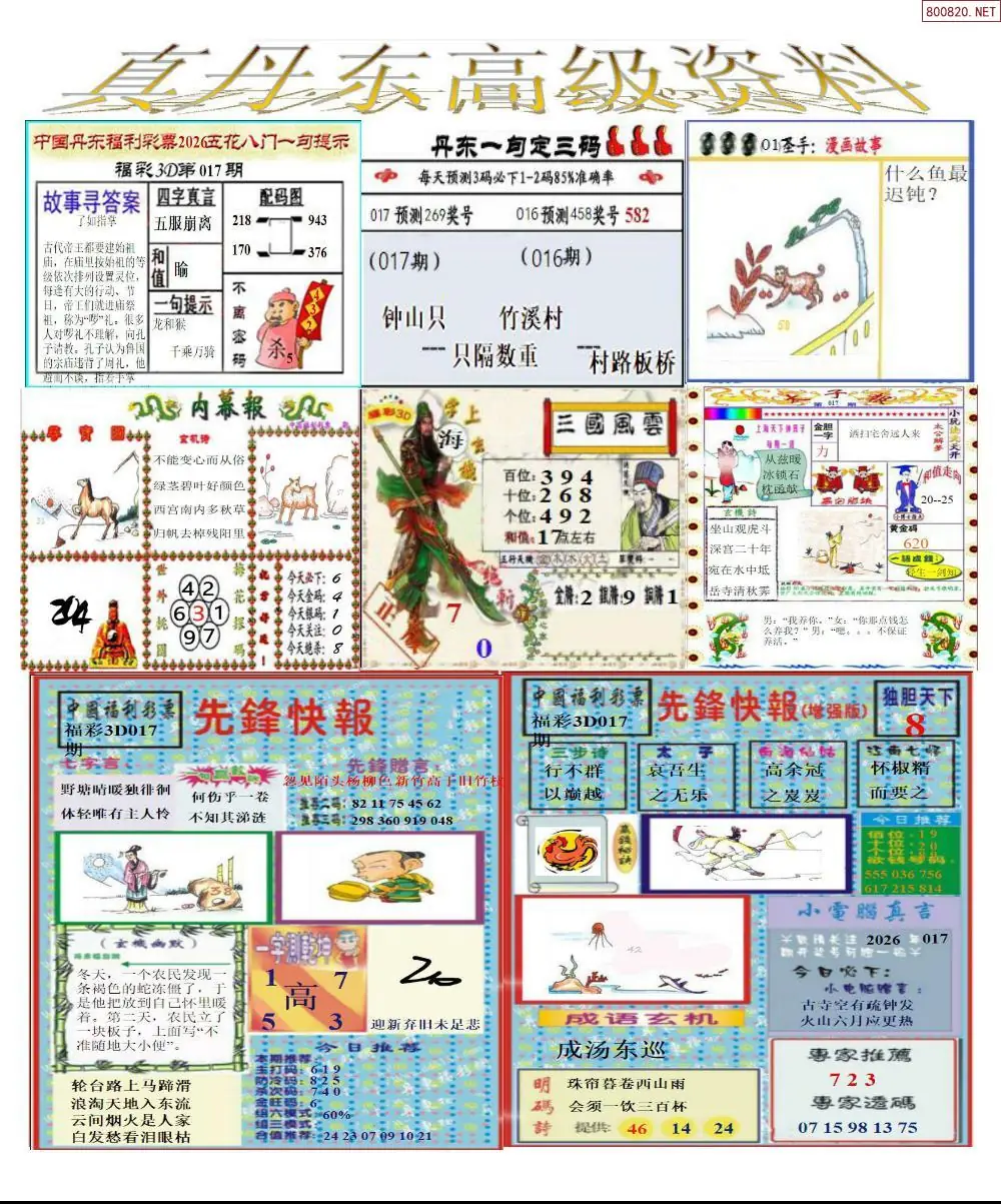 真丹东高级资料