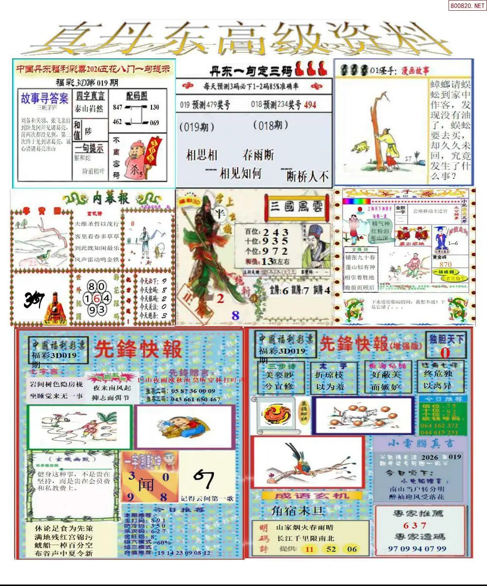 真丹东高级资料