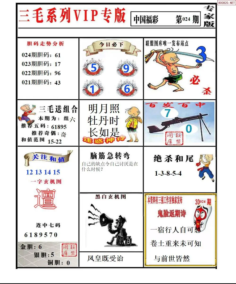 三毛系列VIP专版