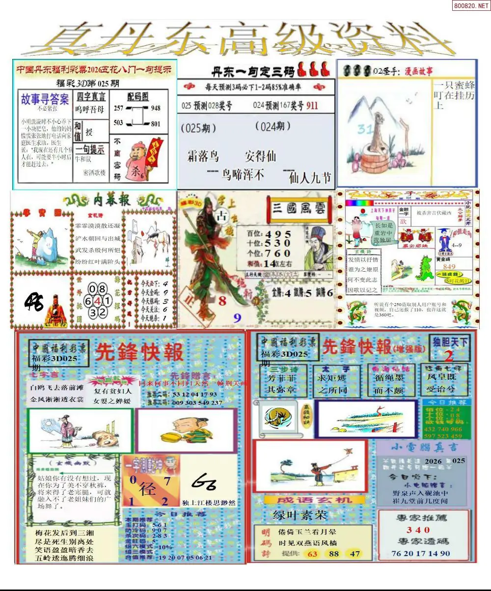 真丹东高级资料