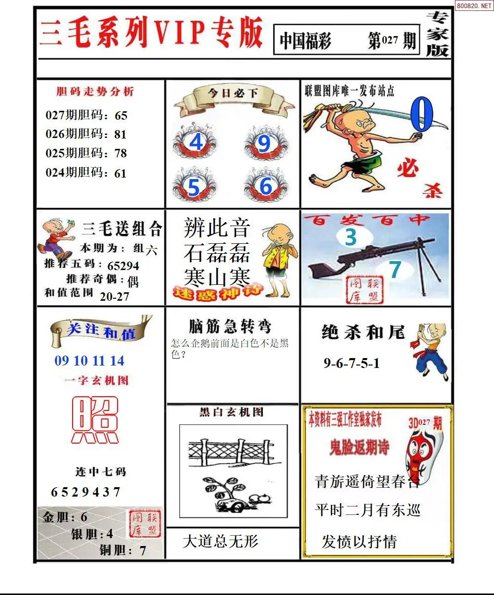 三毛系列VIP专版