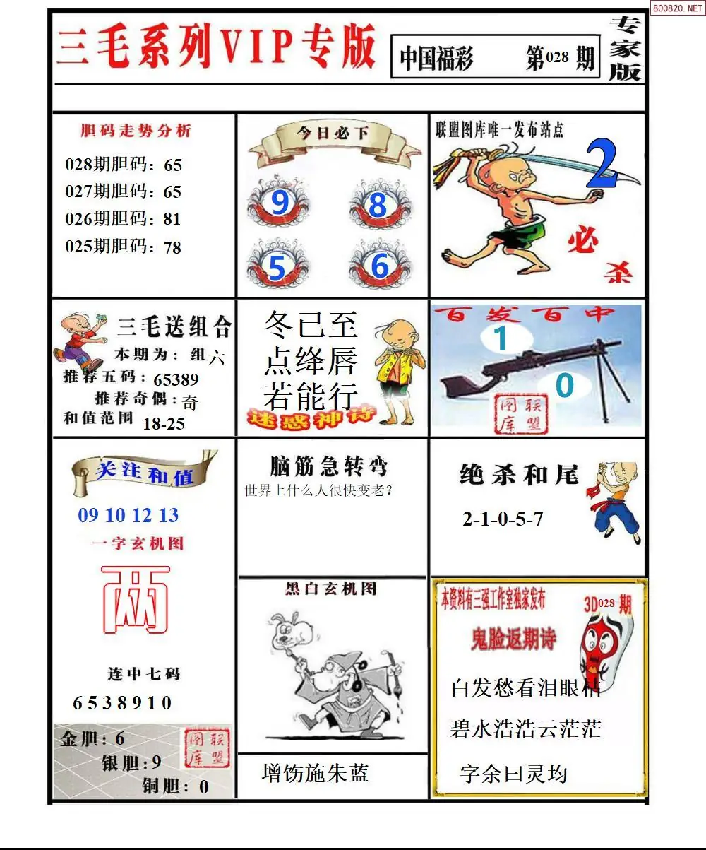 三毛系列VIP专版