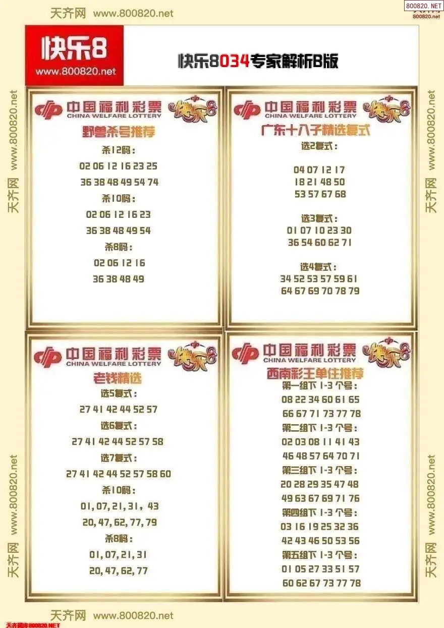 快乐8专家解析B版