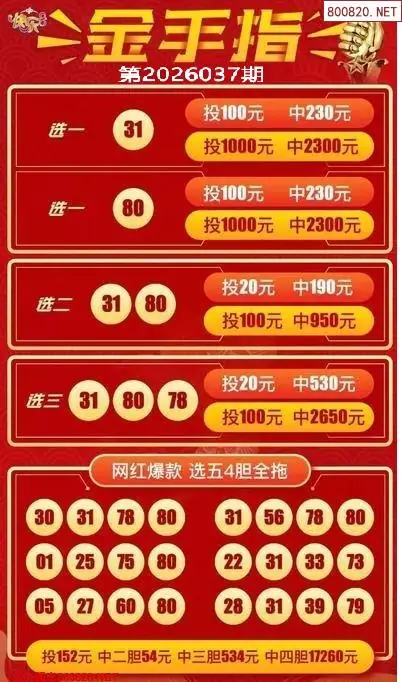 金手指选五四胆