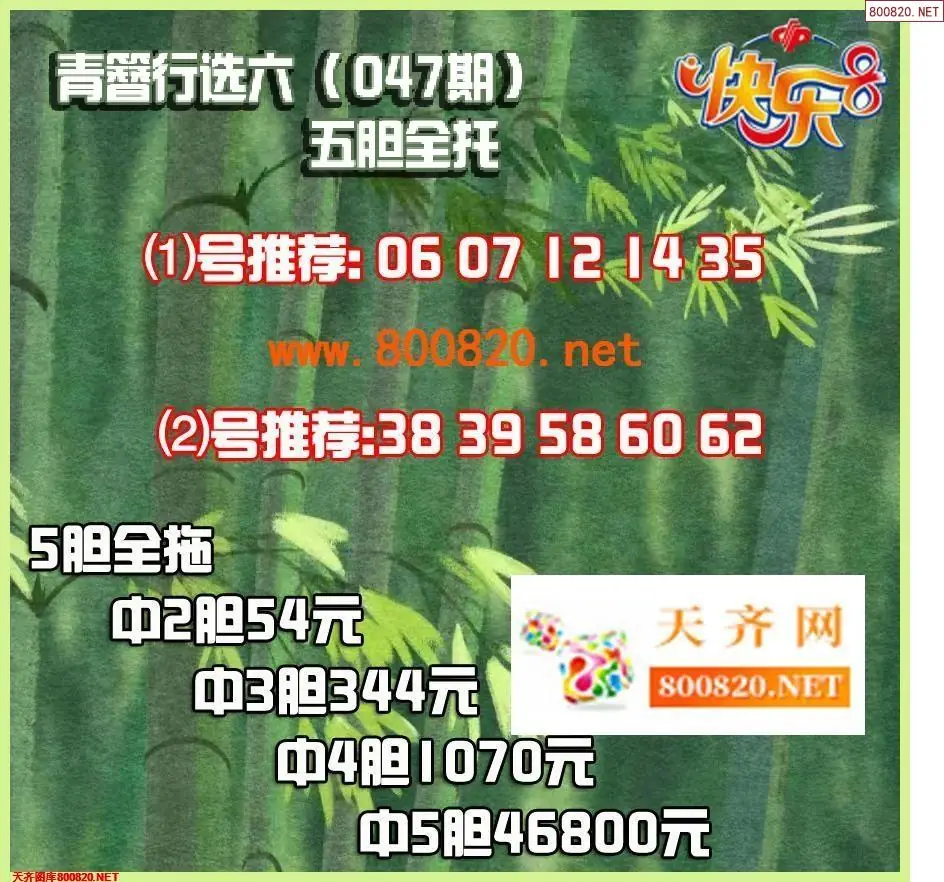 青簪行胆拖图