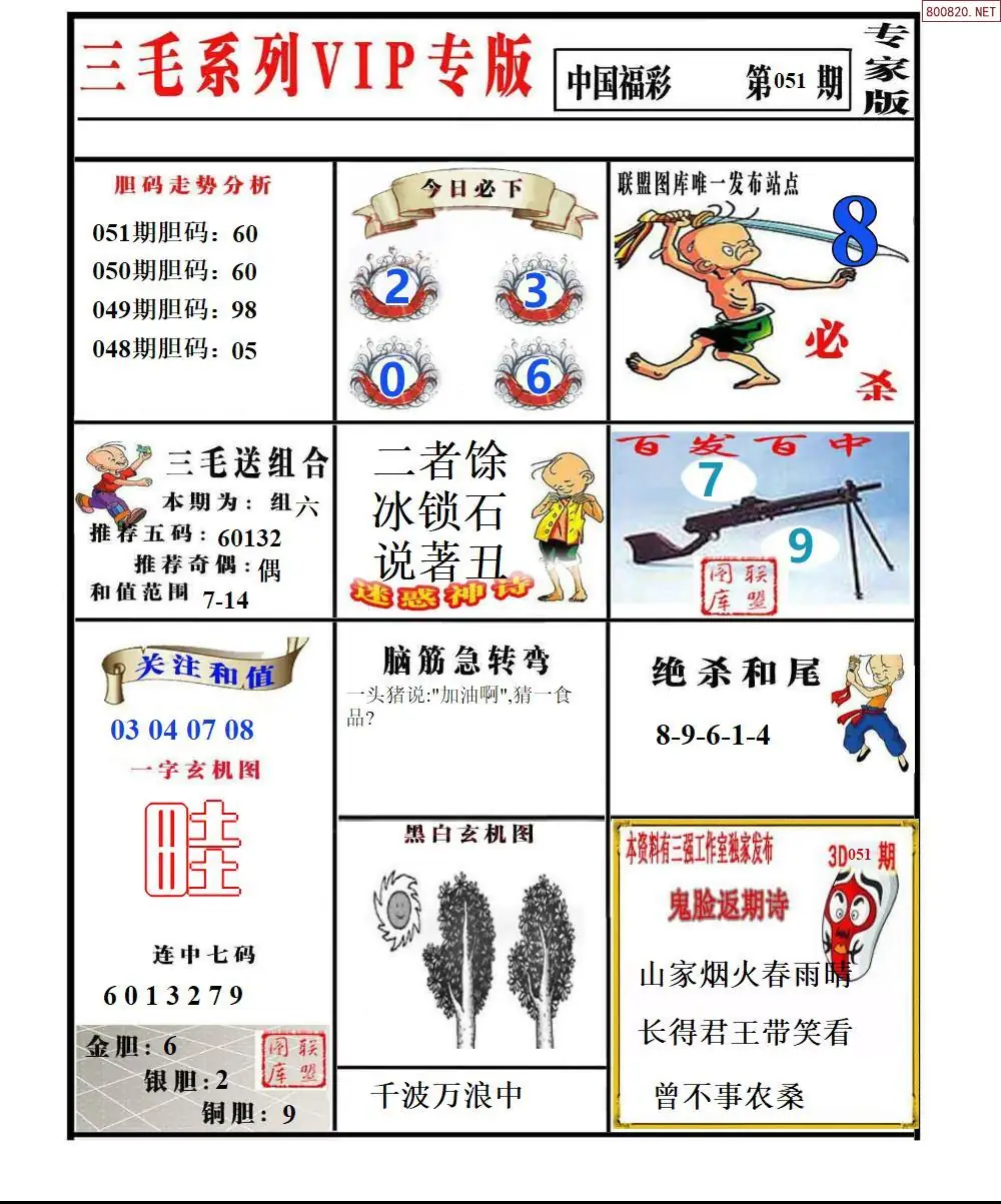 三毛系列VIP专版