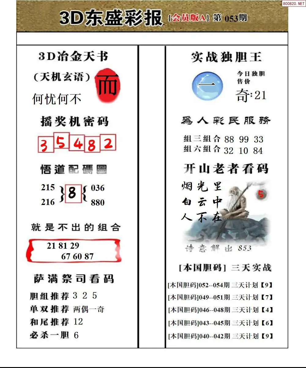 东盛VIP版A版