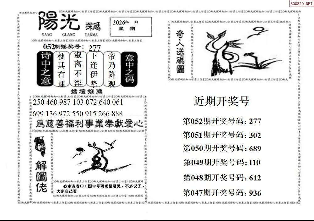 3D阳光探码