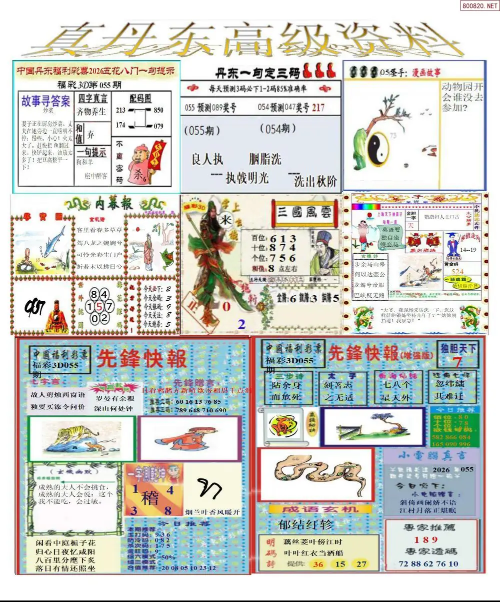 真丹东高级资料