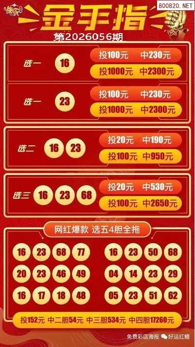 金手指选五四胆