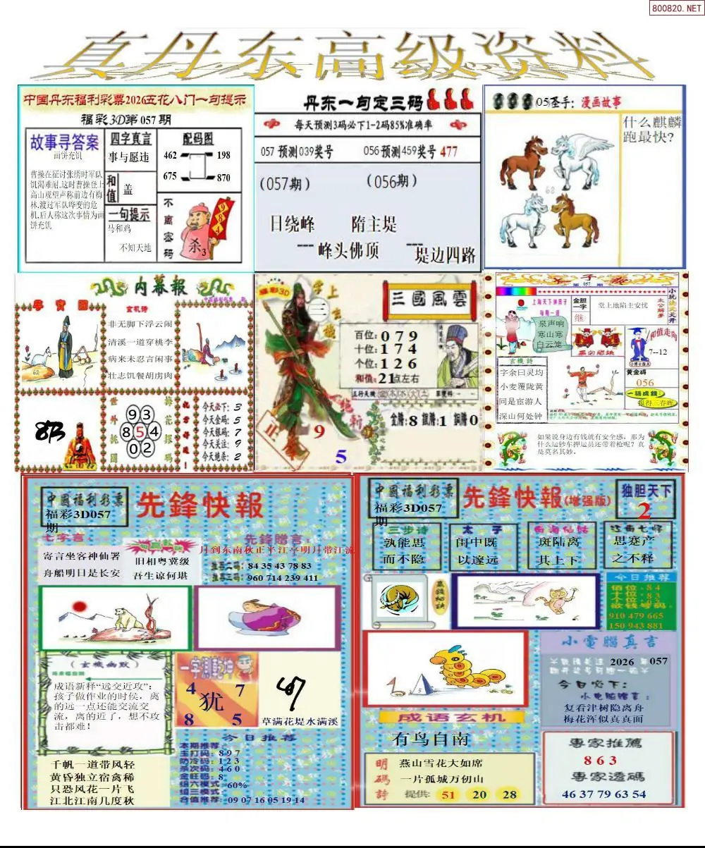 真丹东高级资料