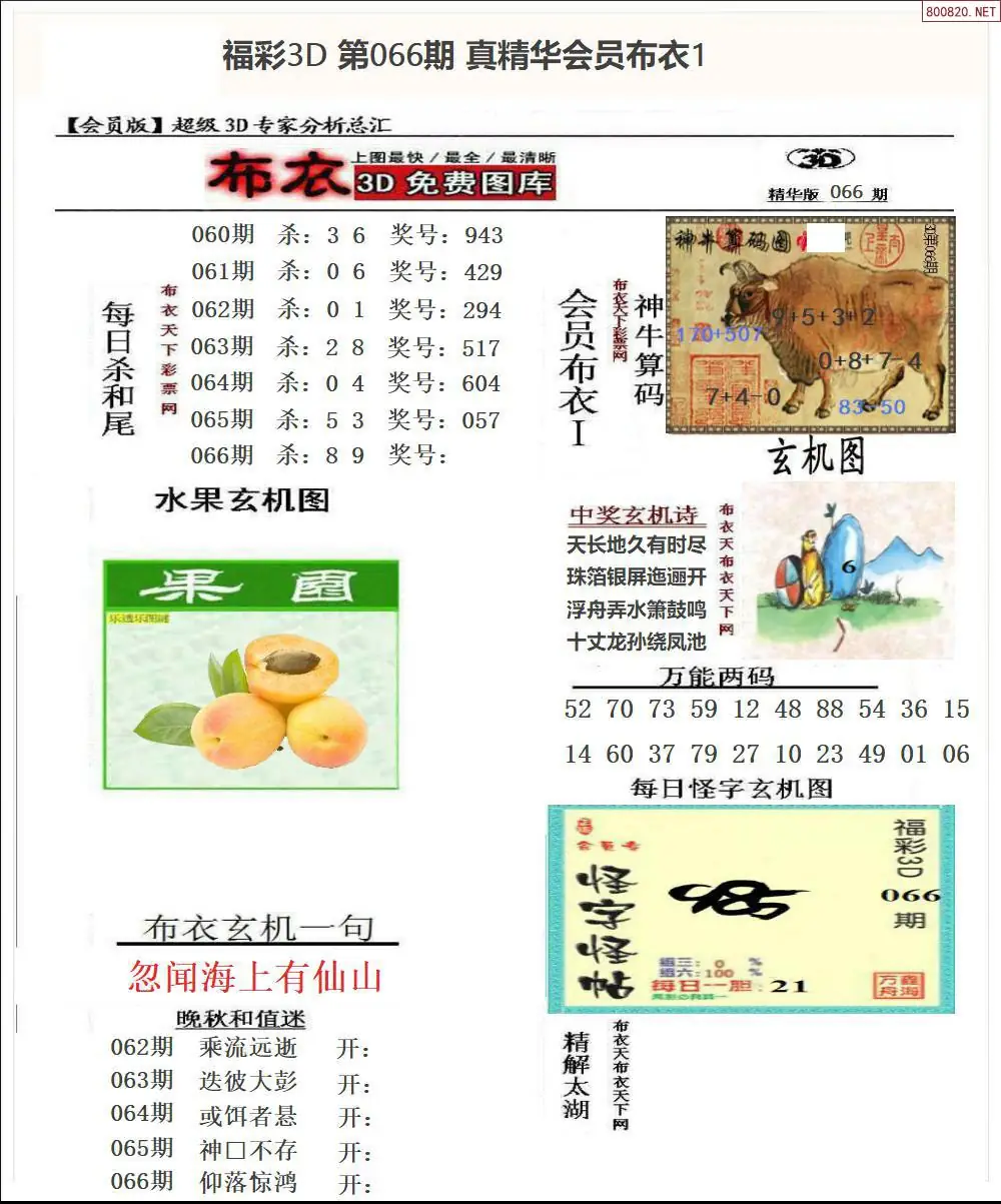 真精华会员布衣1