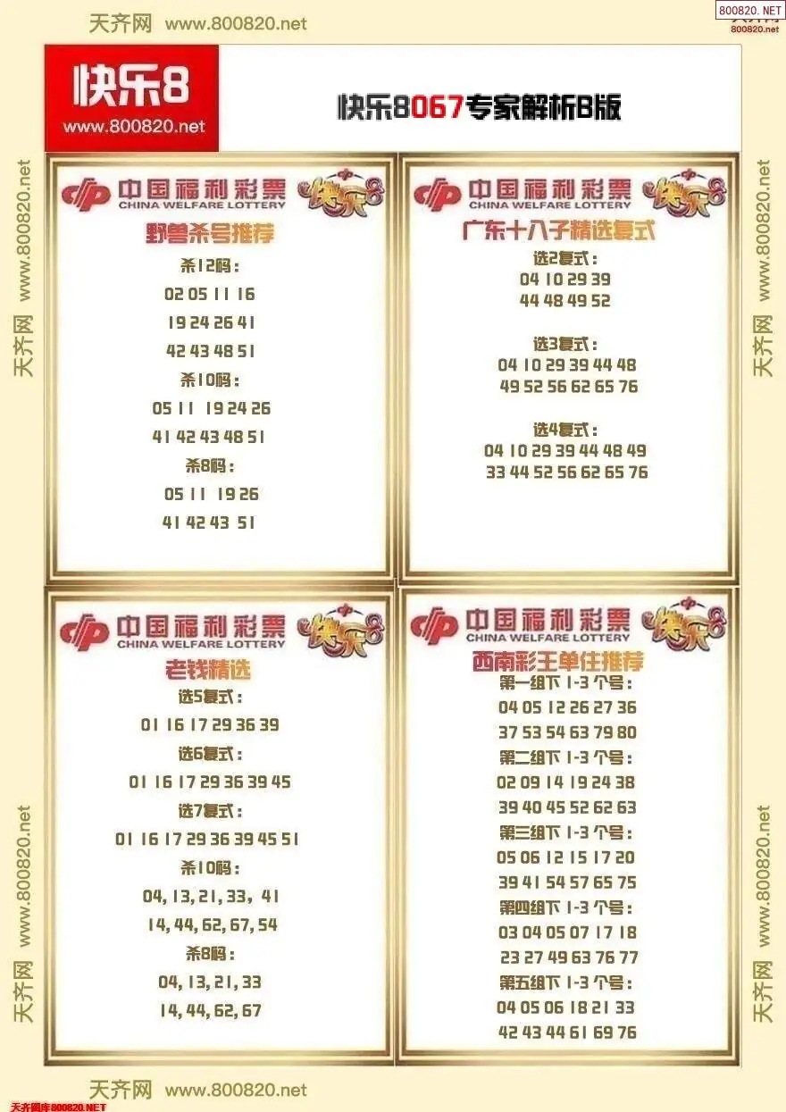 快乐8专家解析B版