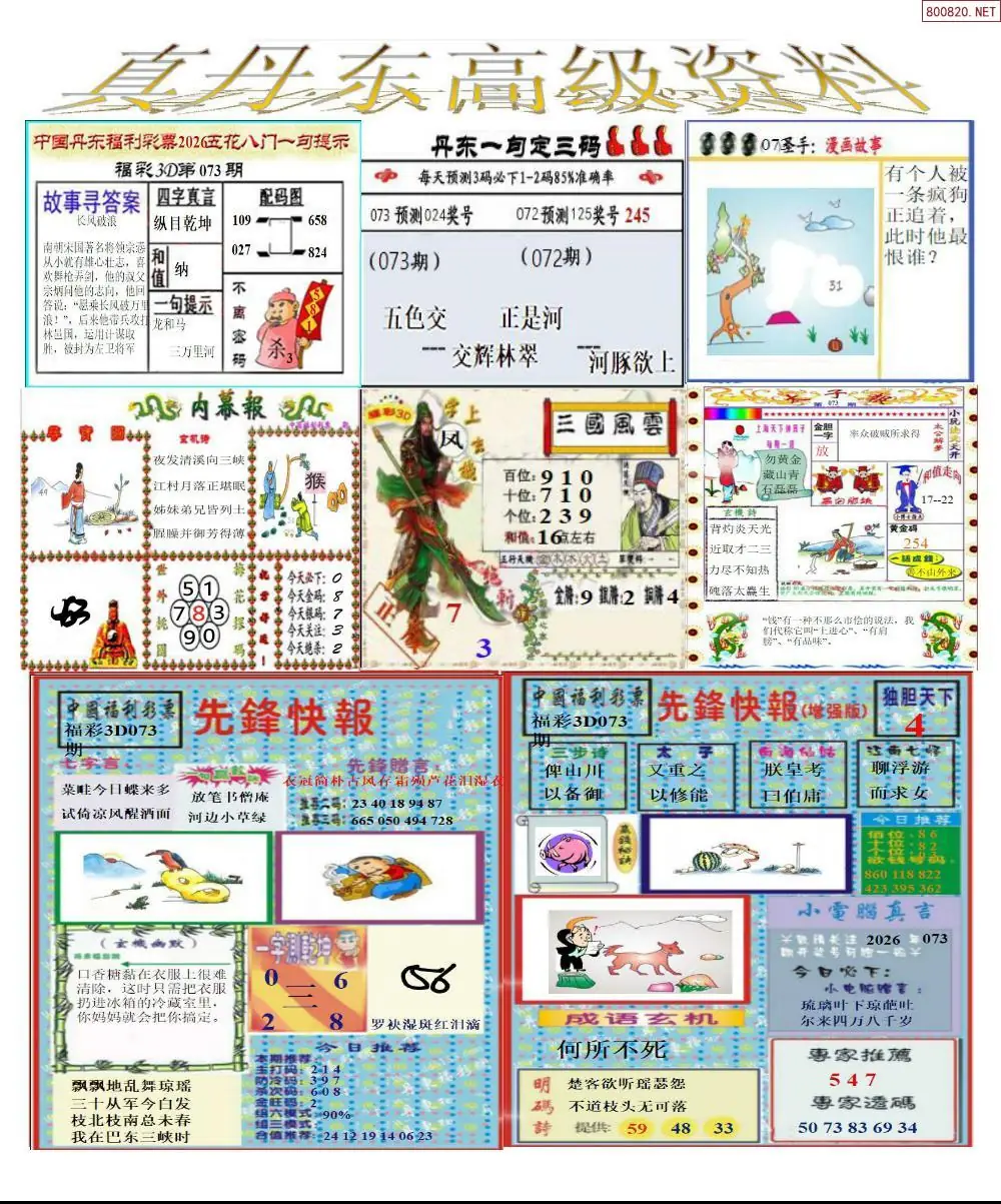 真丹东高级资料