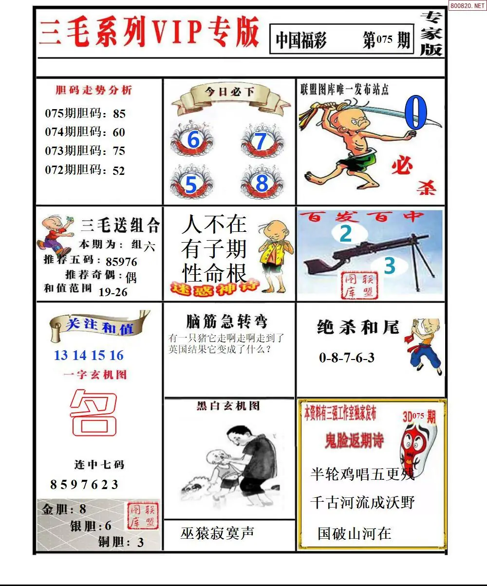 三毛系列VIP专版