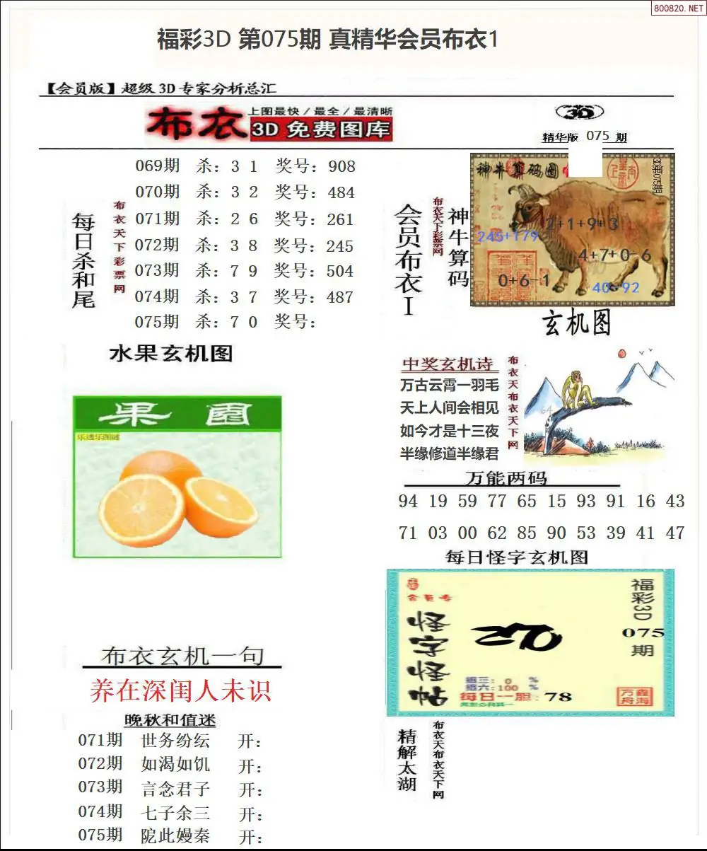 真精华会员布衣1