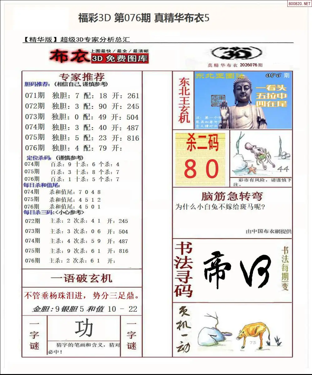 真精华布衣5
