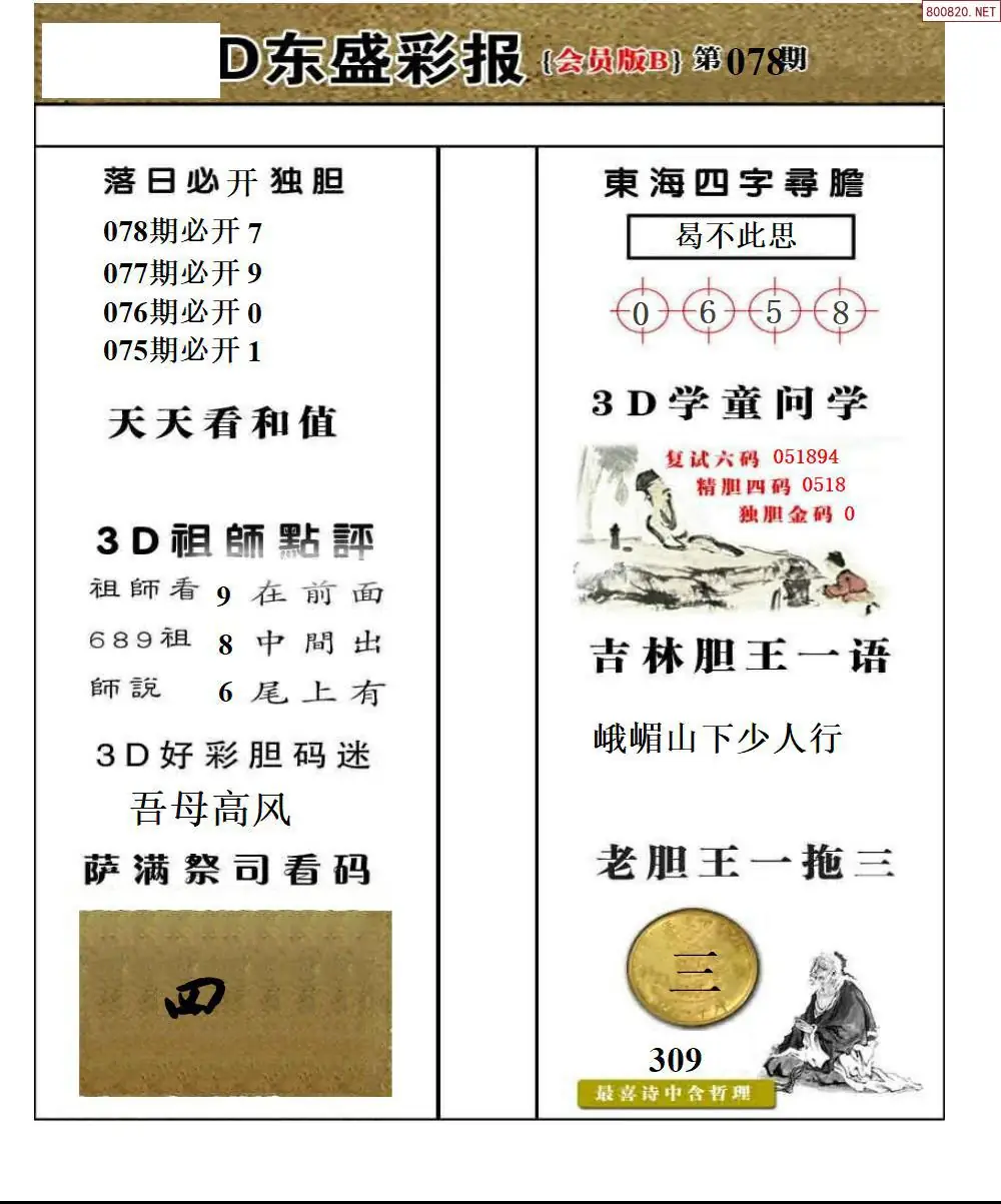 东盛VIP版B版