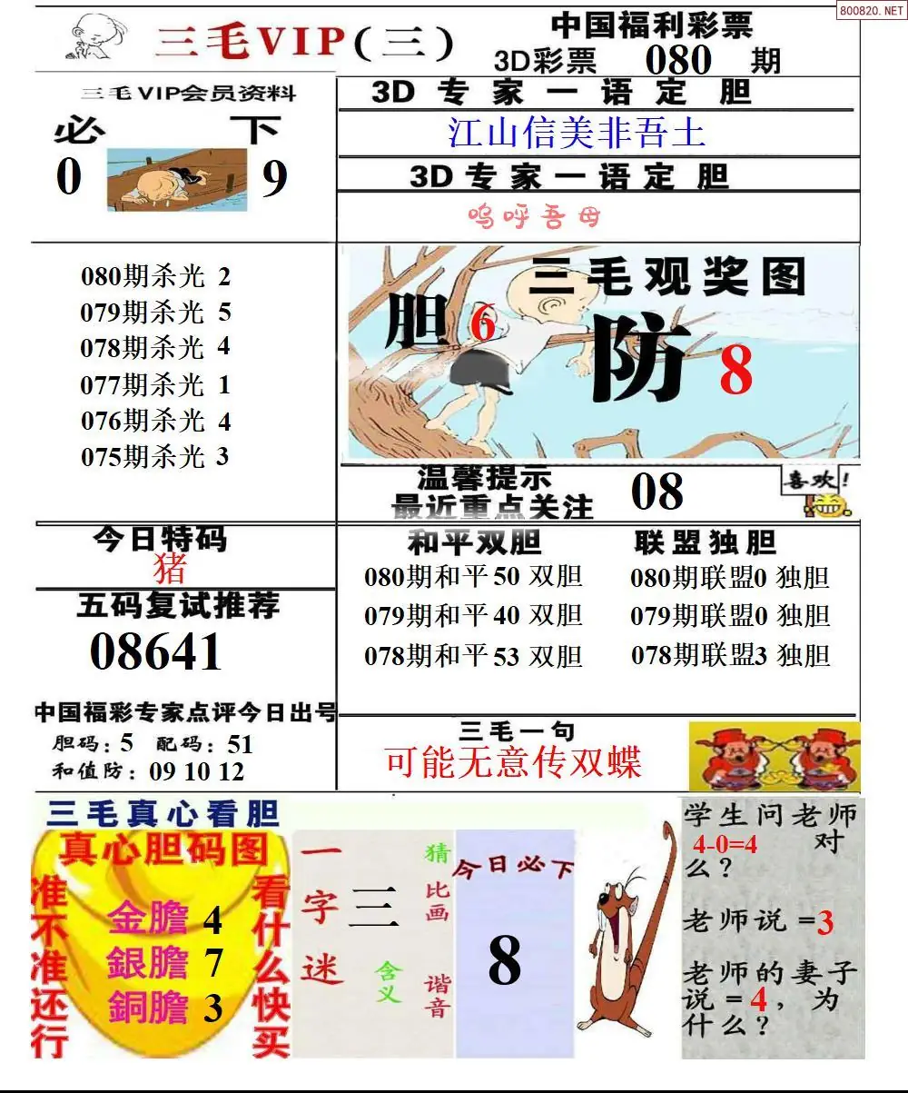 三毛VIP三版