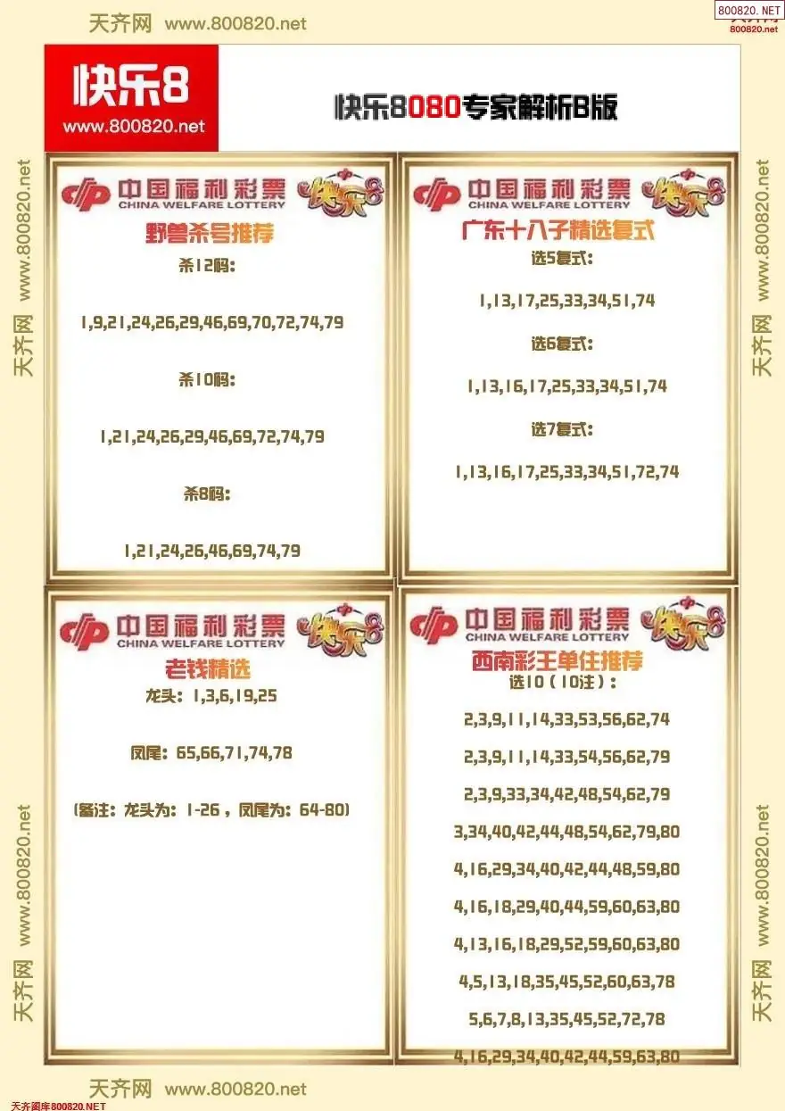 快乐8专家解析B版