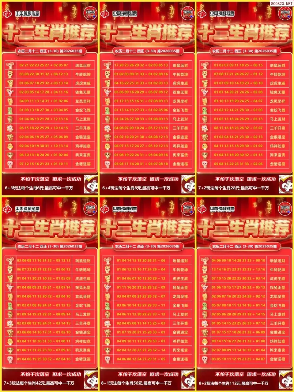 十二生肖推荐图