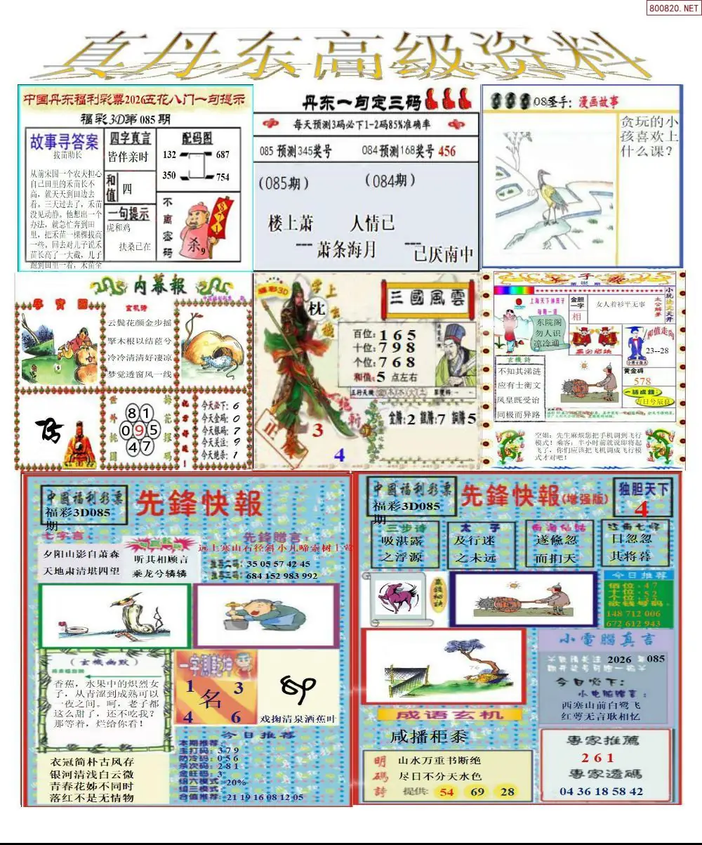 真丹东高级资料
