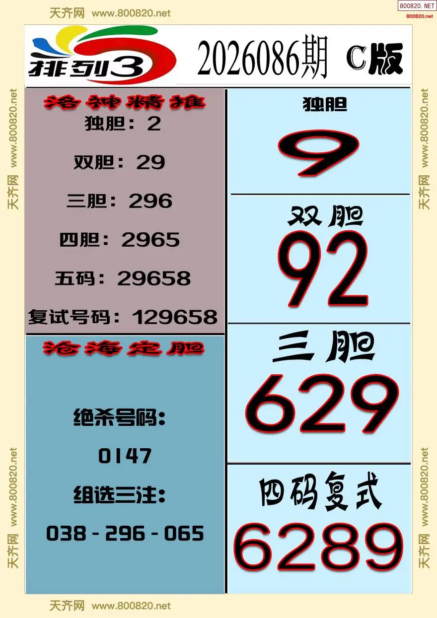 排三专家推荐C