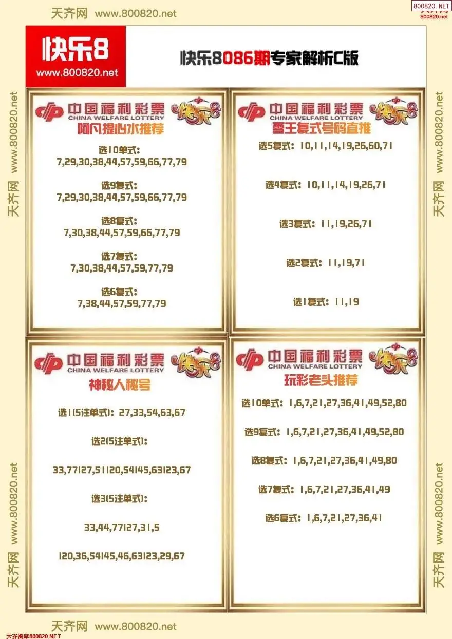 快乐8专家解析C版