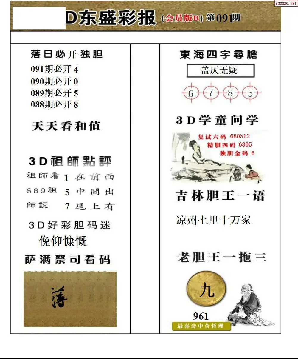 东盛VIP版B版