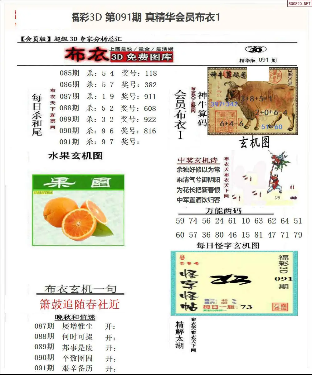 真精华会员布衣1