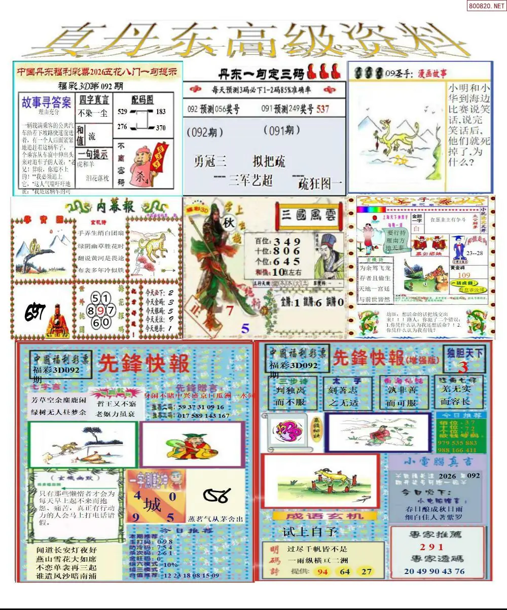 真丹东高级资料