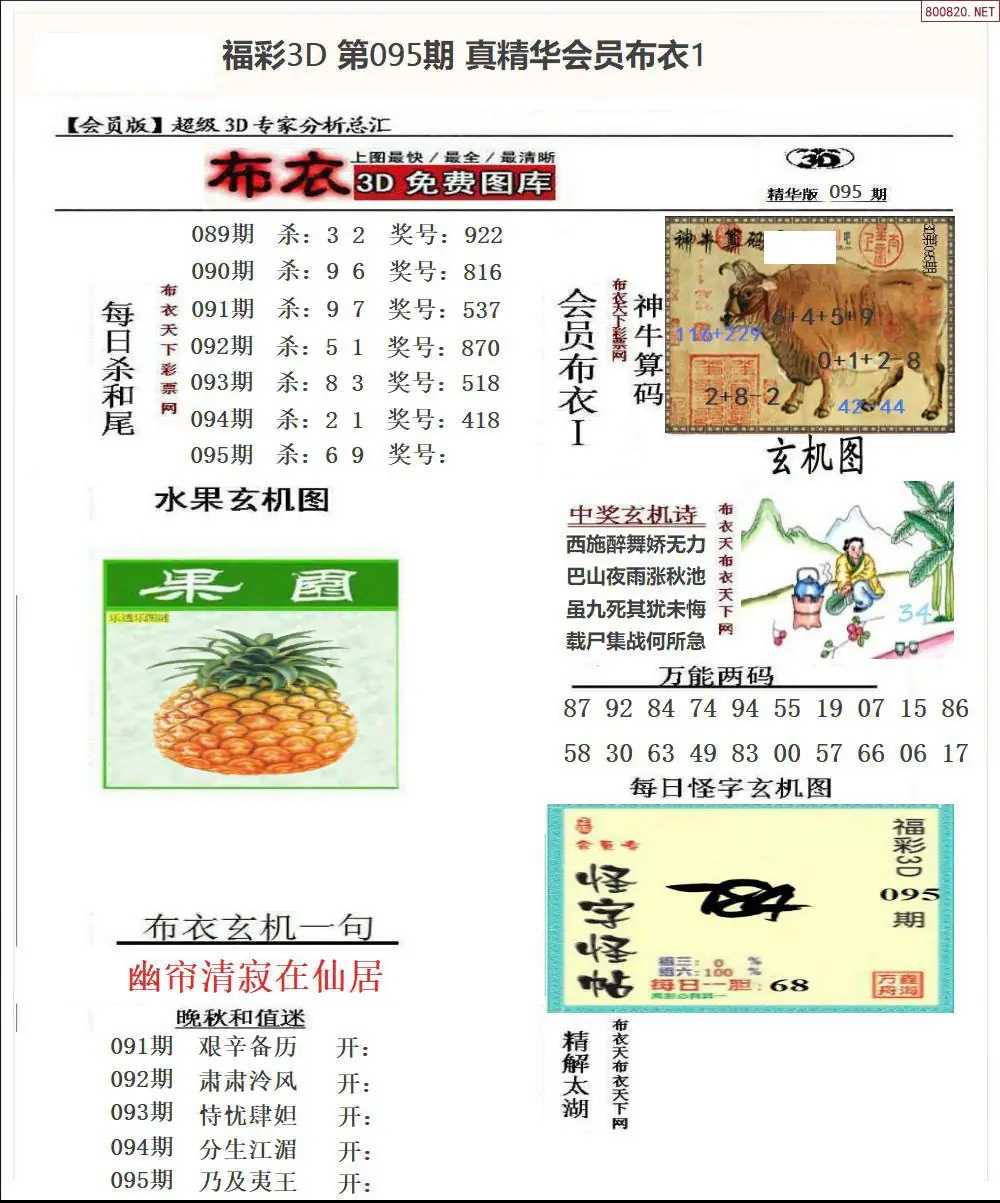 真精华会员布衣1