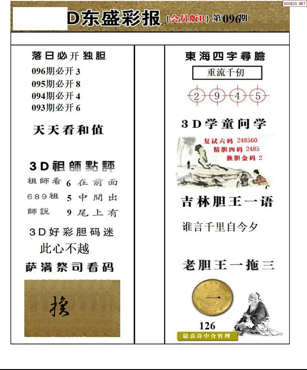 东盛VIP版B版