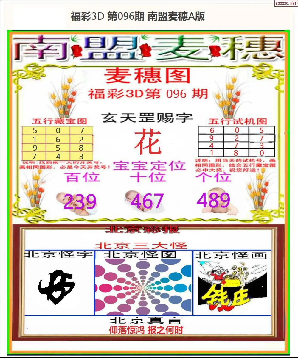 南盟麦穗A版