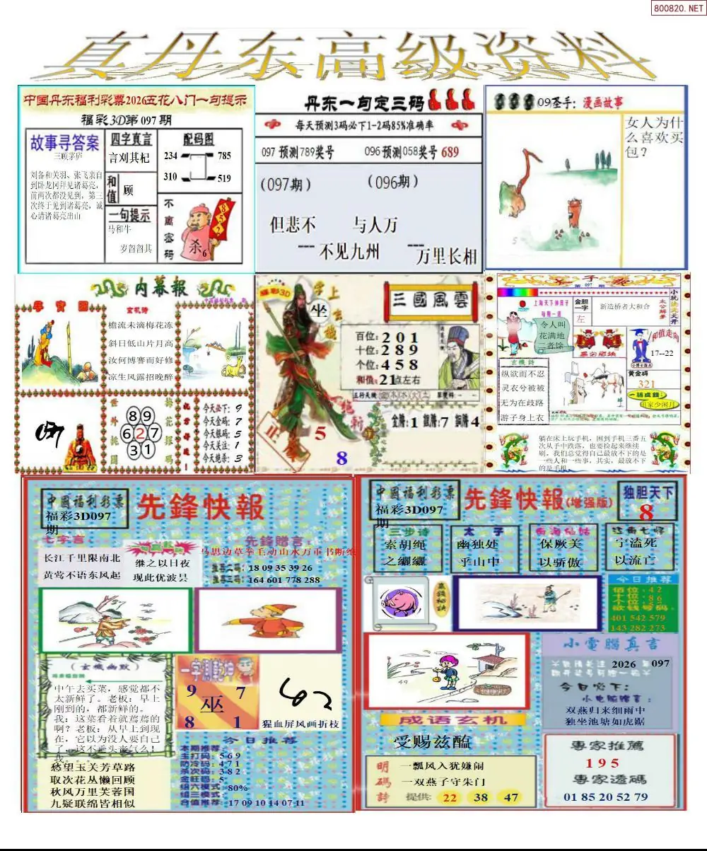 真丹东高级资料
