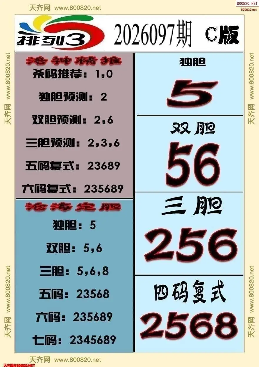 排三专家推荐C