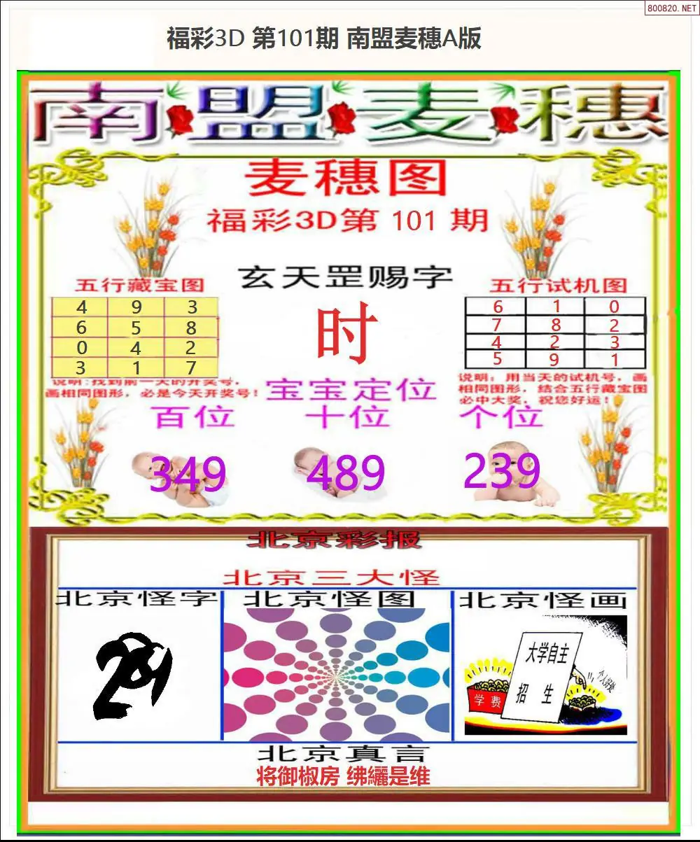 南盟麦穗A版